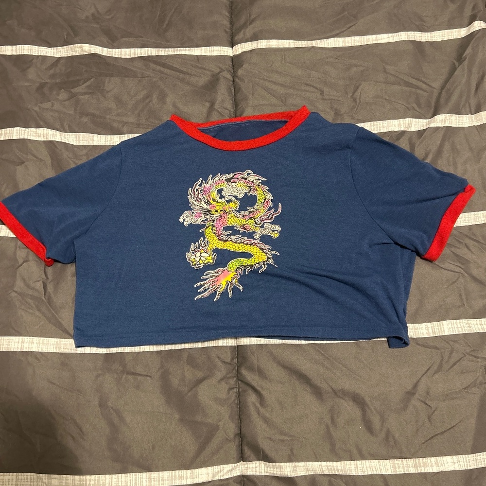 Dragon Crop top
